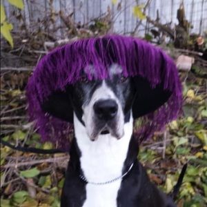 Meet your Posher, Lucinda